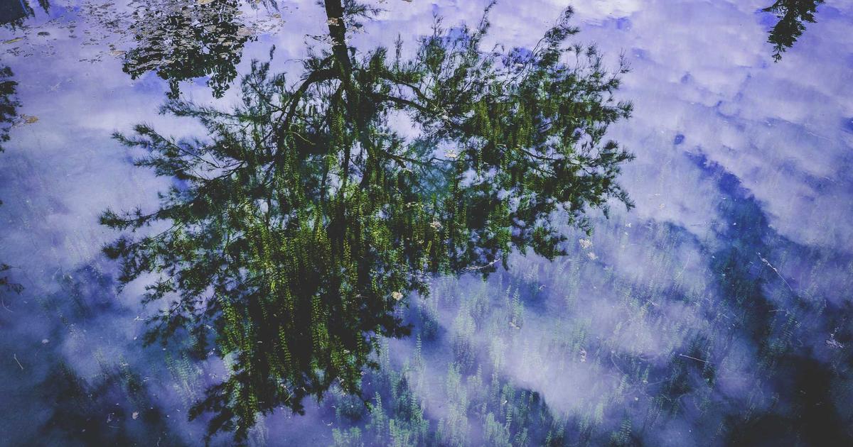 Hoe herken je een betrouwbaar medium?