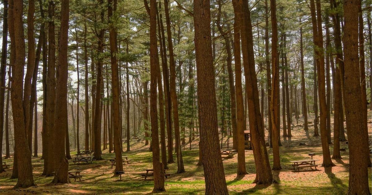 Het belang van meditatie voor spirituele ontwikkeling