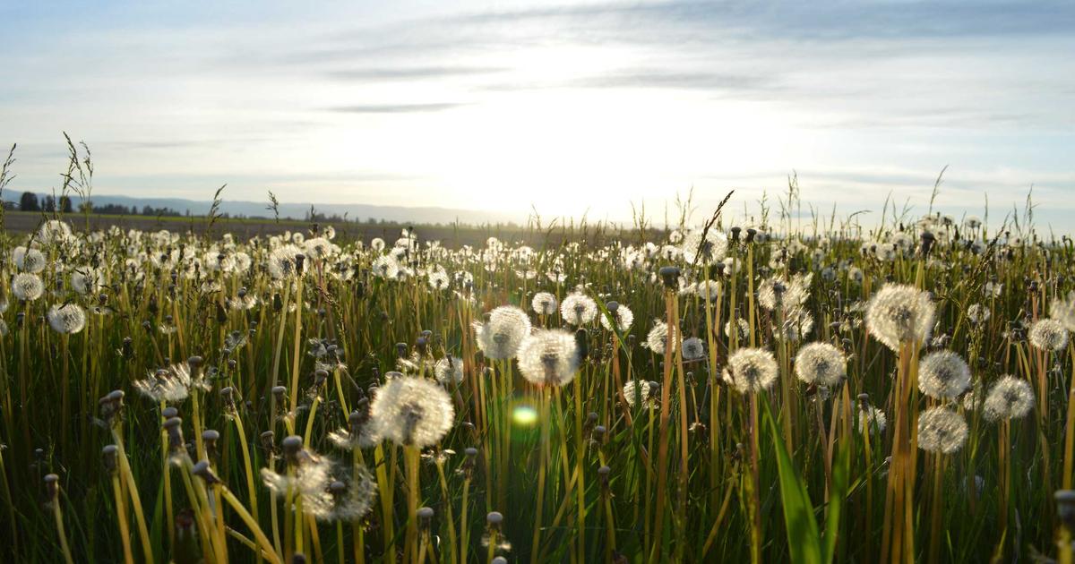 De kracht van tarotkaarten in je dagelijks leven