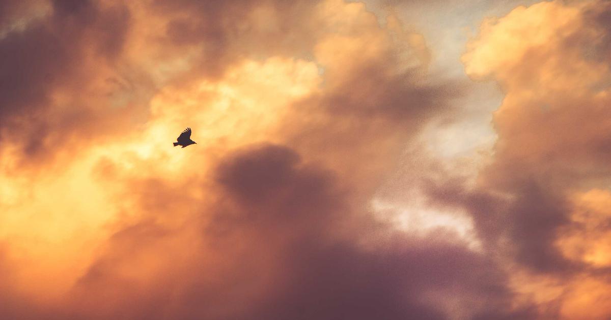 Spirituele groei: waar begin je?