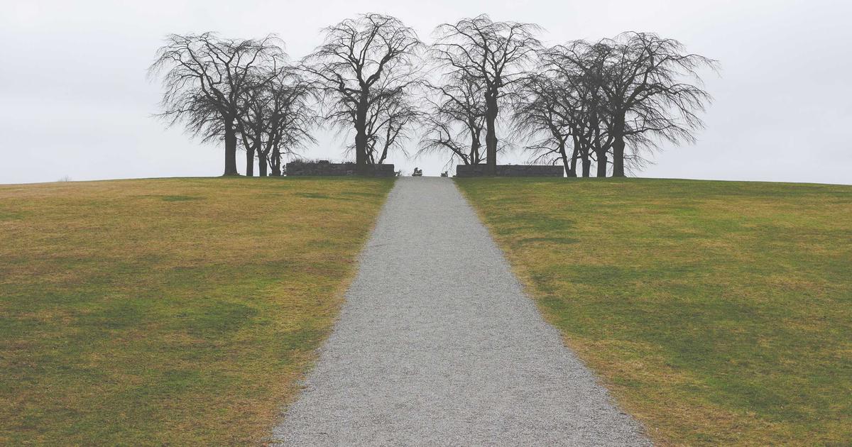 De betekenis van engelennummers uitgelegd